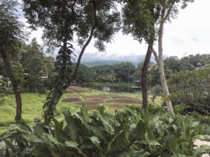 Few days in - Four seasons resort chiang mai