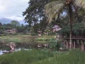 Few days in - Four seasons resort chiang mai